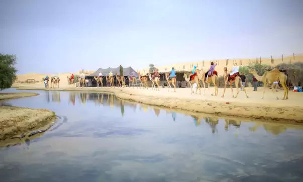 Gallery of Our Experience